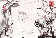 Load image into Gallery viewer, Eye Twizzle PRINT 20x29 cm (7.9x11.4 in)