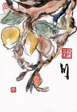 Load image into Gallery viewer, Ripe Fruit PRINT 23x33 cm (9.0x13.0 in)