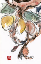 Load image into Gallery viewer, Ripe Fruit PRINT 23x33 cm (9.0x13.0 in)