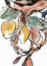 Load image into Gallery viewer, Ripe Fruit PRINT 23x33 cm (9.0x13.0 in)