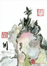 Load image into Gallery viewer, The Immortal's Cliff (Centuryplant) PRINT 20x29 cm (7.9x11.4 in)

